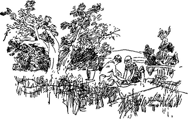 Петр СУВОРОВ - На заволжских озёрах