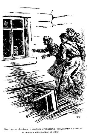 Леонид Рахманов, Евгений Рысс - Домик на болоте