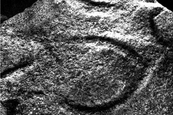 Алексей Виноградов - Русская тайна. Откуда пришел князь Рюрик?