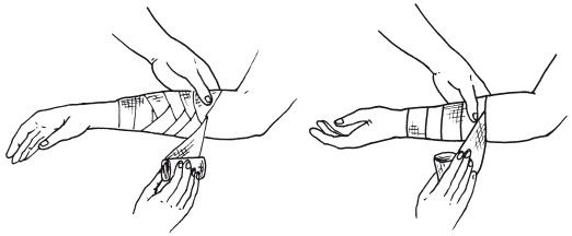 Елена Храмова, Владимир Плисов - Справочник медсестры. Практическое руководство