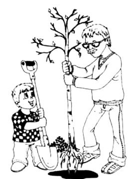 Ольга Новиковская - Развитие речи для малышей в рассказах и веселых картинках