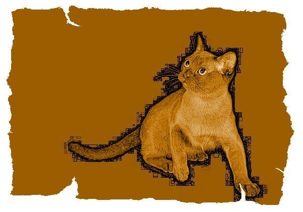 Дина Бакулина - Кот из Датского королевства