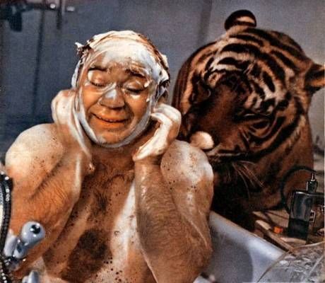 Андрей Ангелов - Практическая режиссура кино