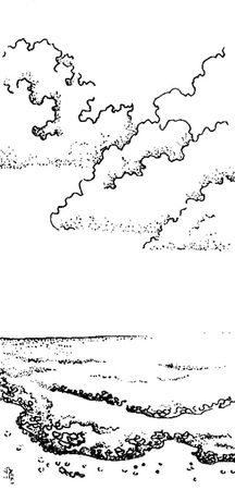 Зинаида Миркина - Чистая страница