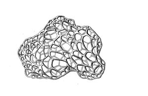 Артур Шопенгауэр - Афоризмы житейской мудрости