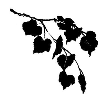 Марина Цветаева - Час души