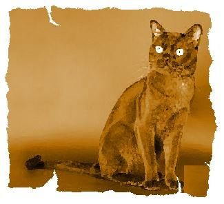 Дина Бакулина - Кот из Датского королевства