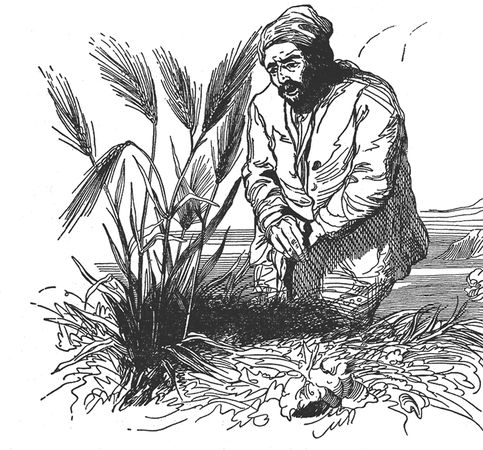 Даниэль Дефо - Робинзон Крузо. Дальнейшие приключения Робинзона Крузо