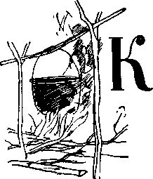 Петр СУВОРОВ - На заволжских озёрах