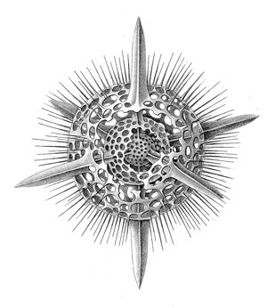 Артур Шопенгауэр - Афоризмы житейской мудрости