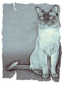 Дина Бакулина - Кот из Датского королевства