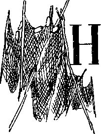 Петр СУВОРОВ - На заволжских озёрах