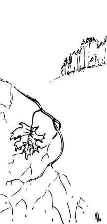 Зинаида Миркина - Чистая страница