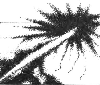 Генри Каттнер, Кэтрин Мур - Ночная битва