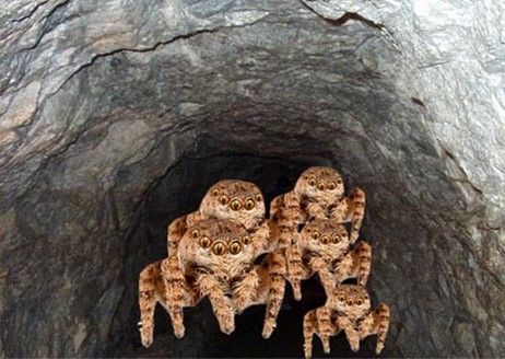 Владимир Чекмарев - И водрузим мы над Марсом Красное Знамя Труда! Или......