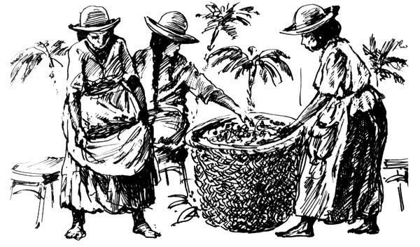 Александр Романенко - ВьЮжная Америка