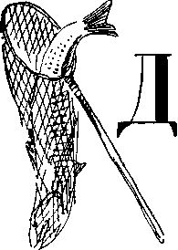 Петр СУВОРОВ - На заволжских озёрах