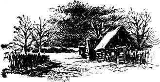 Александр Шмаков - Петербургский изгнанник. Книга третья