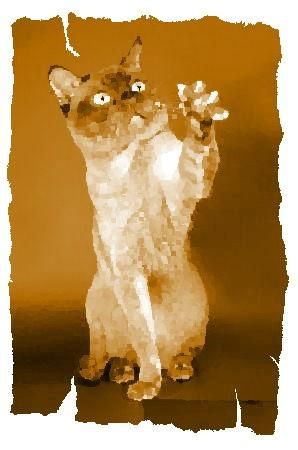 Дина Бакулина - Кот из Датского королевства