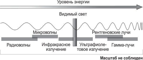 Брайан Клегг - Вселенная внутри вас