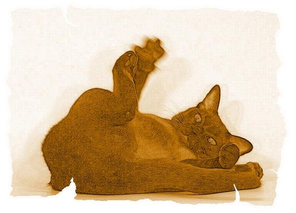 Дина Бакулина - Кот из Датского королевства