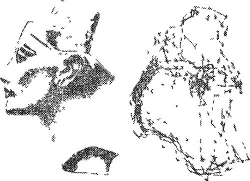 Рада Грановская - Элементы практической психологии