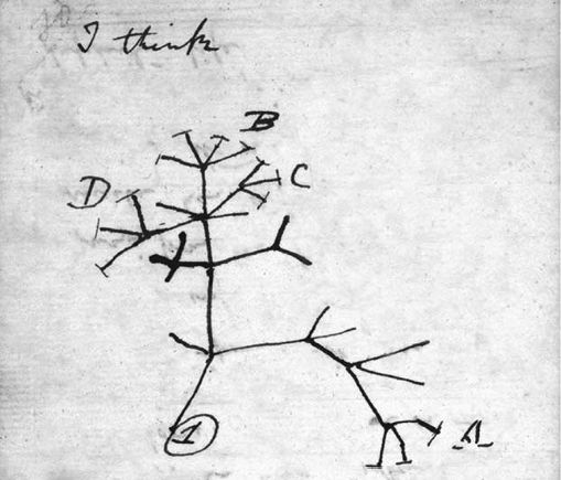 Пол Фальковски - Двигатели жизни. Как бактерии сделали наш мир обитаемым
