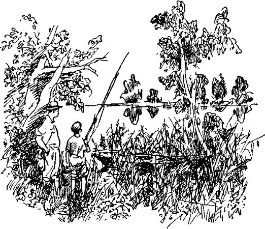 Петр СУВОРОВ - На заволжских озёрах