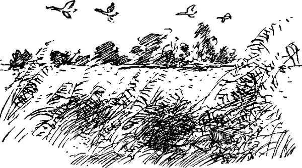 Петр СУВОРОВ - На заволжских озёрах