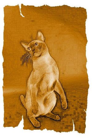 Дина Бакулина - Кот из Датского королевства