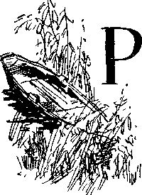 Петр СУВОРОВ - На заволжских озёрах