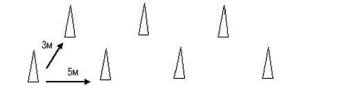 Теория и методика подготовки юных футболистов