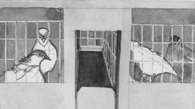 Ирина Новикова - Болезни домашней птицы