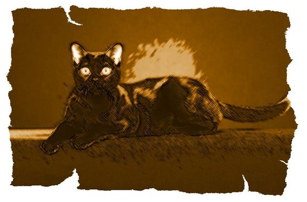 Дина Бакулина - Кот из Датского королевства