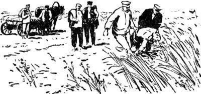 Андрей Кучкин - Семи смертям не бывать