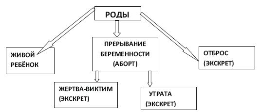 Вадим Романов - Начала экскретологии
