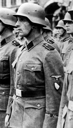 Константин Залесский - СС. Охранные отряды НСДАП