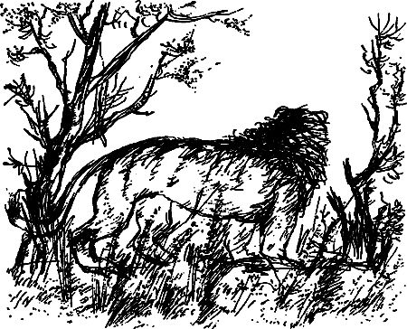 Семен Каратов, Сергей Писарев - Земля мамонтов