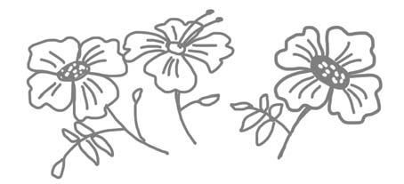 Вера Корнилова, Елена Ризо - Успеть сделать, пока ребенок не вырос....