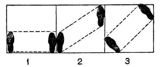Анатолий Харлампиев - БОРЬБА САМБО