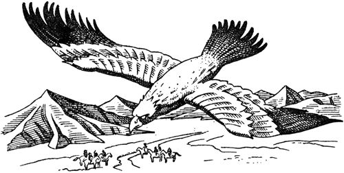 Курт Давид - Черный Волк. Тенгери, сын Черного Волка