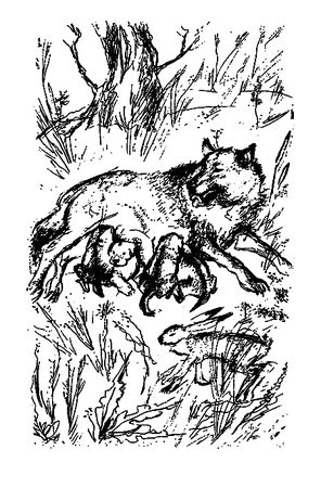 Семен Каратов, Сергей Писарев - Земля мамонтов