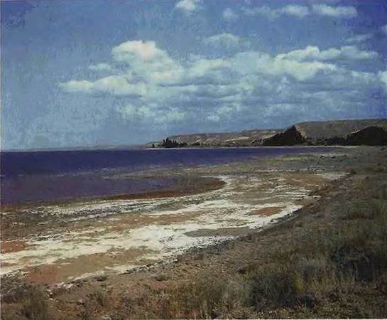 Павел Мариковский - В стране каменных курганов и наскальных рисунков