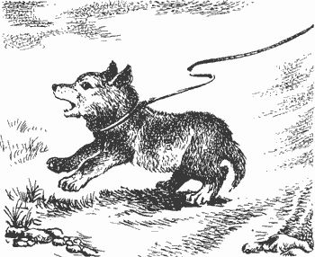 Дмитрий Харламов - Сказание о верном друге