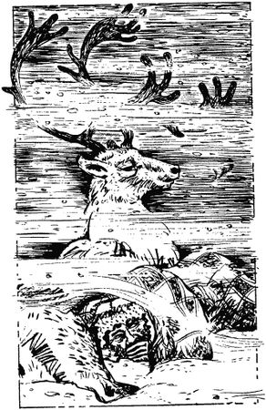 Чарлз Робертс - Последняя охота Серой Рыси