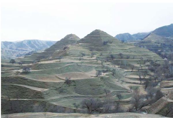 Амри Шихсаидов - Дагестанские святыни. Книга третья