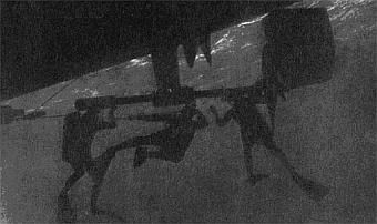 Жак-Ив Кусто, Филипп Диоле - Жизнь и смерть кораллов