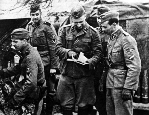 Константин Залесский - СС. Охранные отряды НСДАП