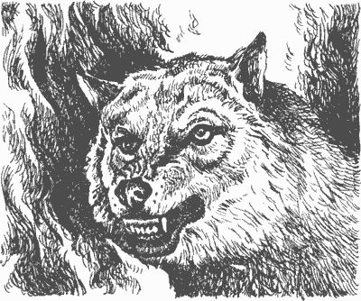 Дмитрий Харламов - Сказание о верном друге