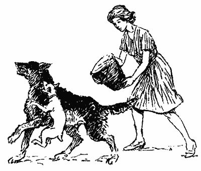 Анастасия Перфильева - Пять моих собак